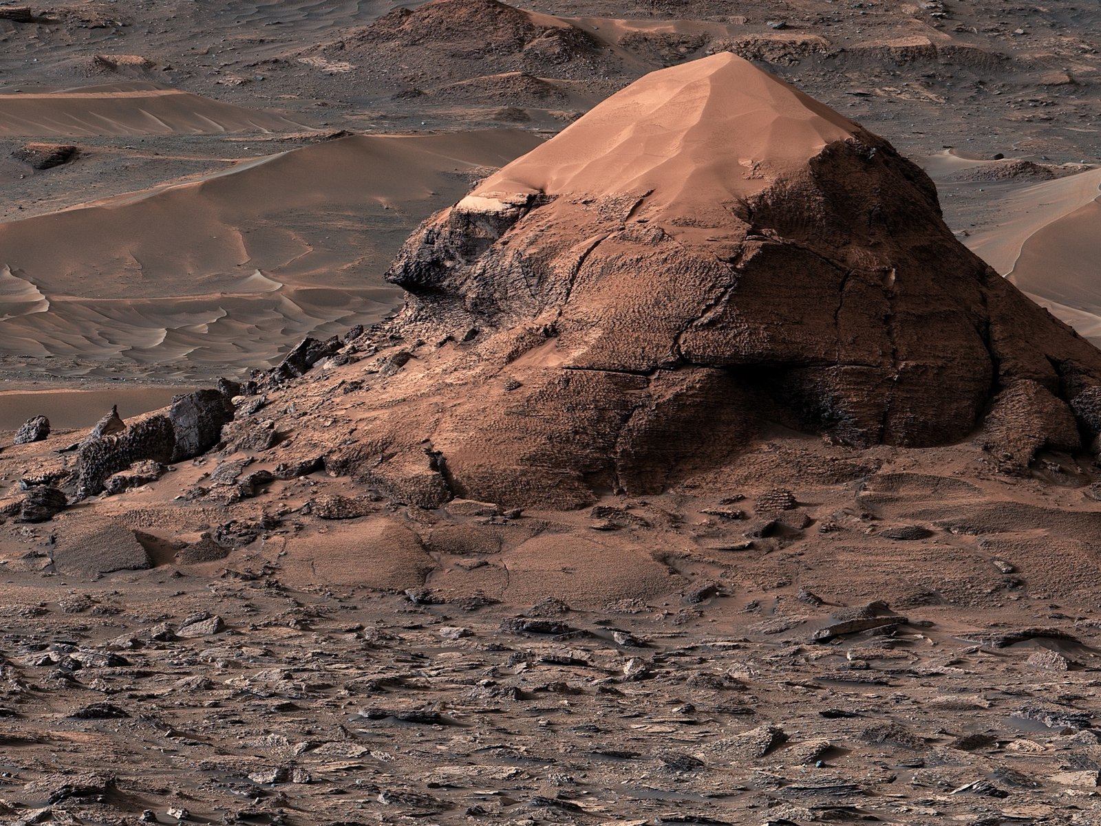 NASA Curiosity Rover Discovery